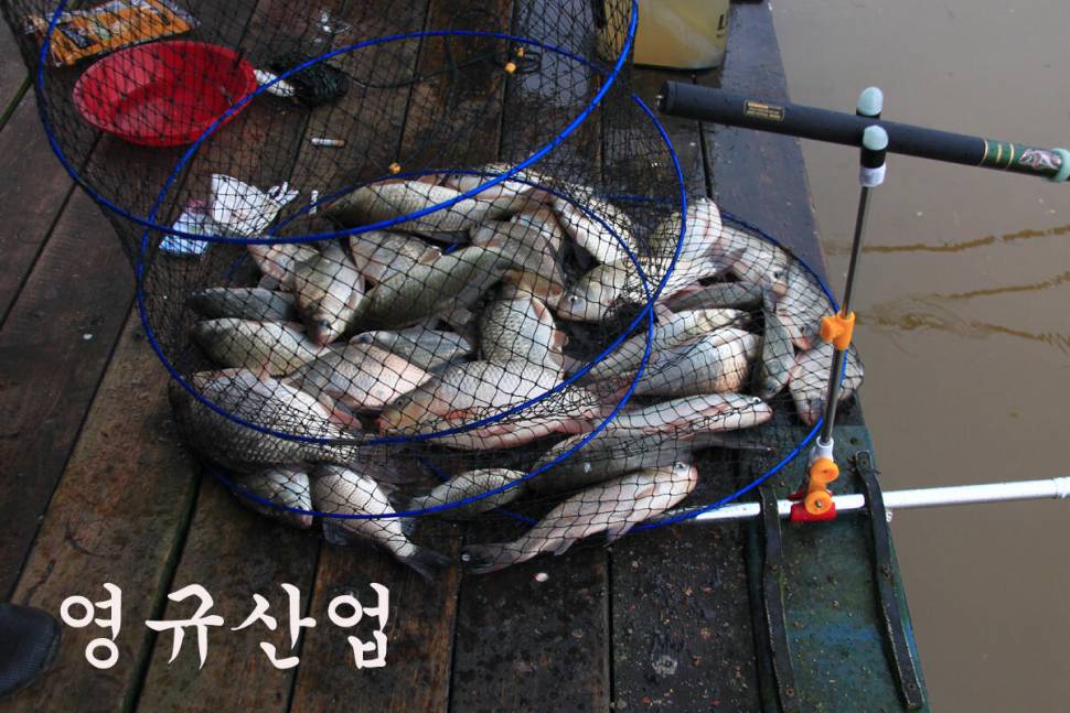 조황 베리 굿 (유료터정보 - 유료터조행기)