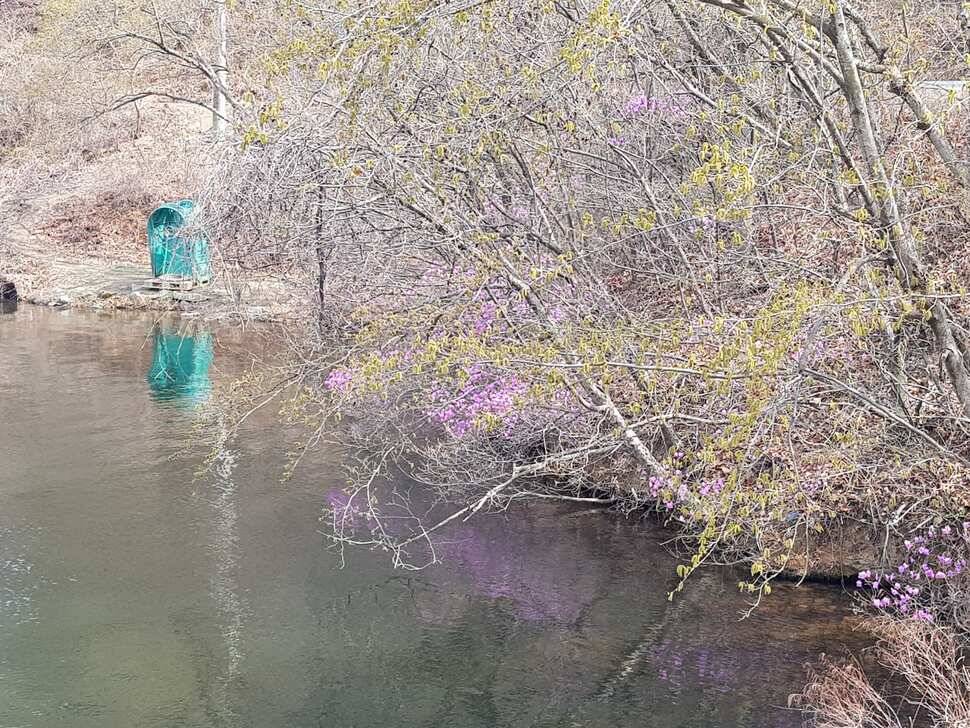 오산나그네의 천평낚시터 조행기 (유료터정보 - 유료터조행기)