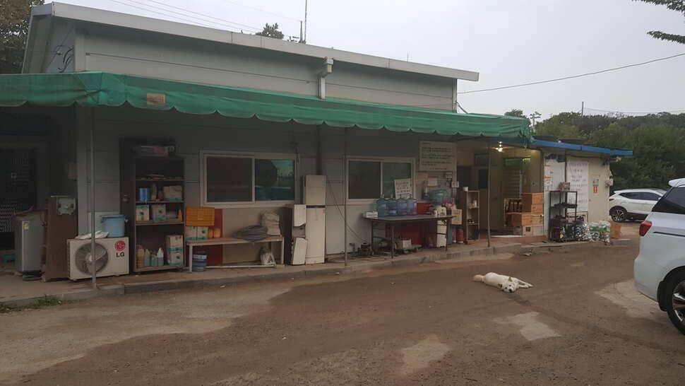 남양주 새말낚시터 출조 (유료터정보 - 유료터조행기)