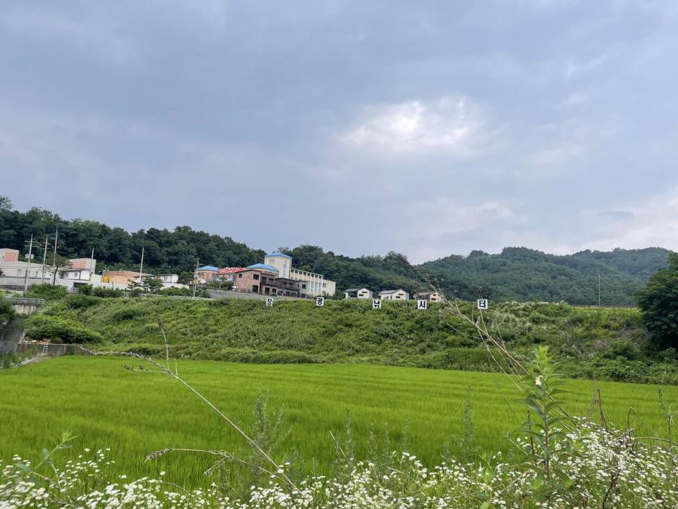 장광낚시터에서 경원스탭 정기모임을 갖다 (유료터정보 - 유료터조행기)