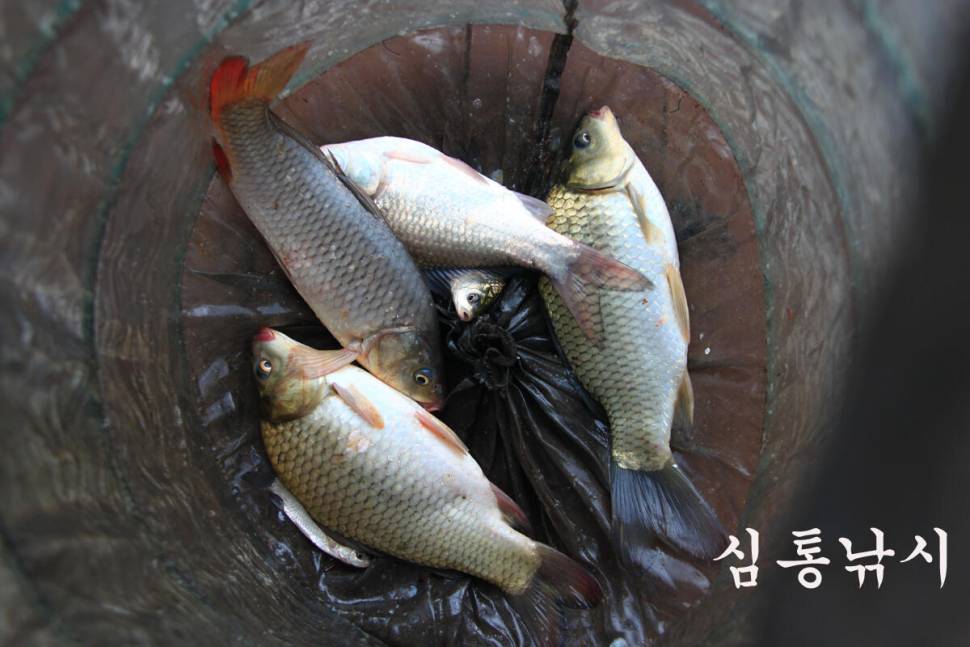 비가와도 대박 (유료터정보 - 유료터조행기)