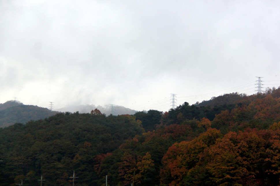 겨울철 낚시터를 찾아서 2 덕성낚시터 (유료터정보 - 유료터조행기)