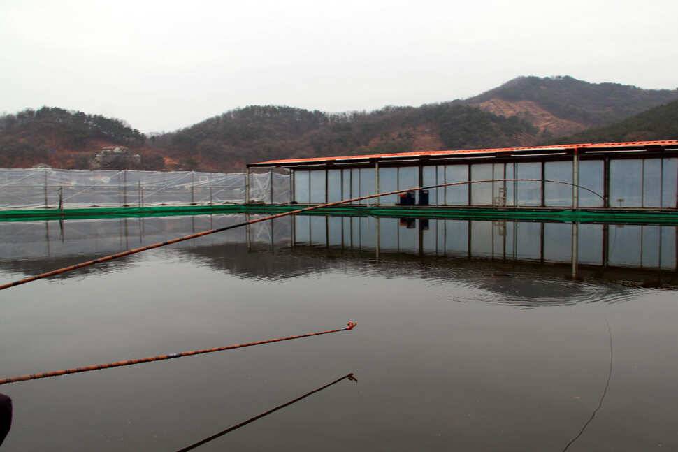 雨曜日 냉정낚시터 (유료터정보 - 유료터조행기)