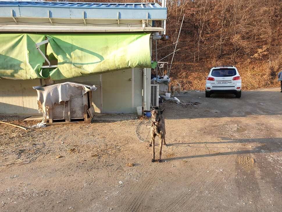 정자골 낚시터 다녀왔습니다 (유료터정보 - 유료터조행기)