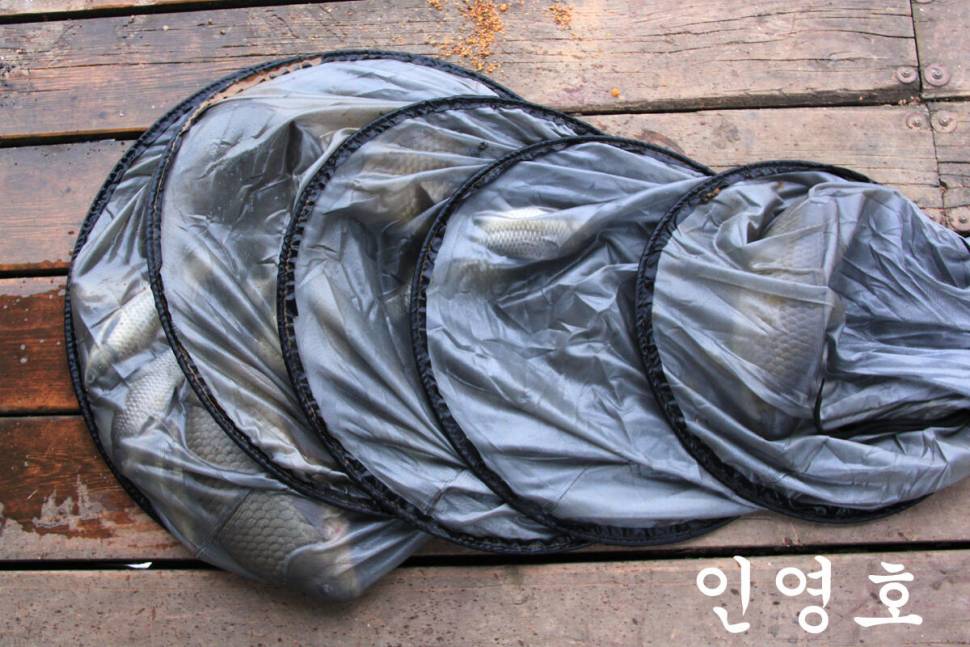 축하합니다 만정낚시터 (유료터정보 - 유료터조행기)