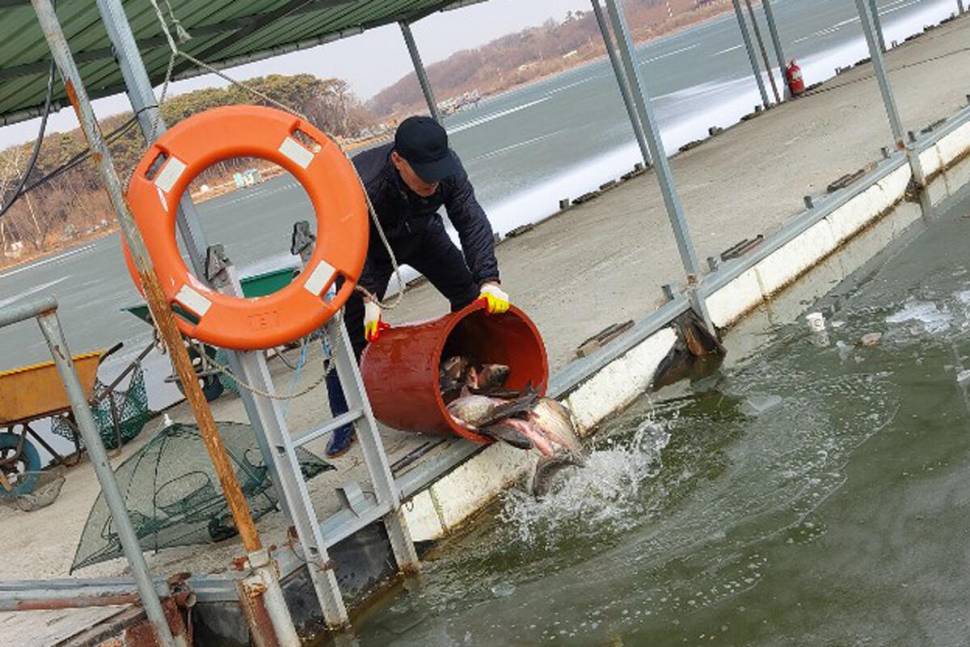 대떡 들어갔어요 만정낚시터 안성 공도 (유료터정보 - 유료터조행기)