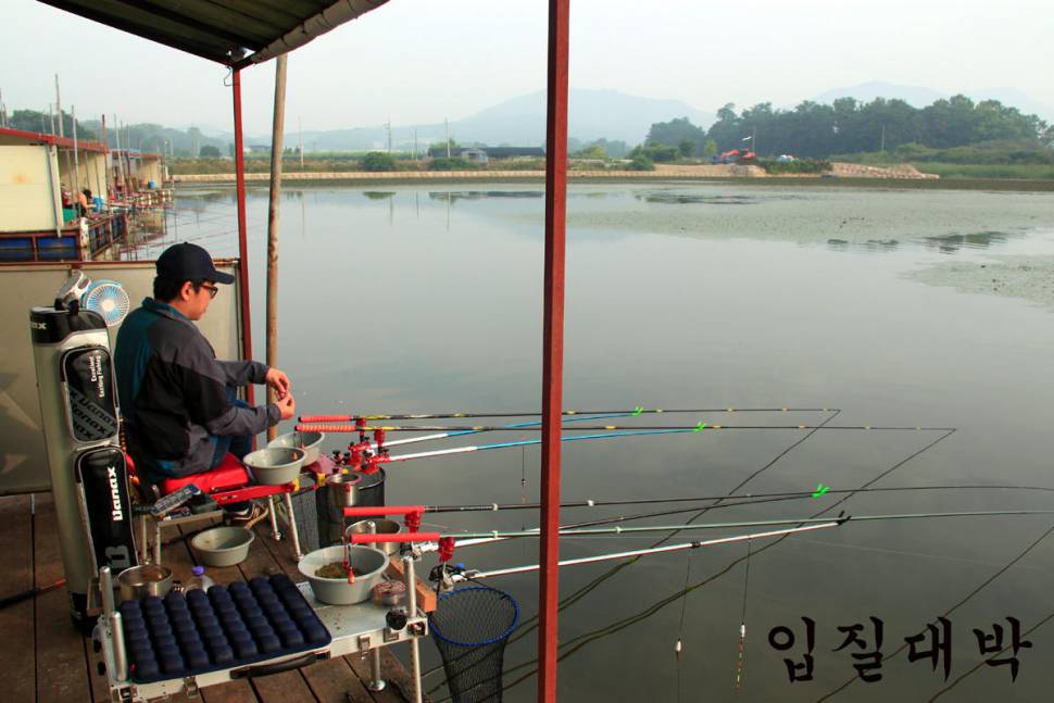 7월의 첫 일요일 만정낚시터 (유료터정보 - 유료터조행기)