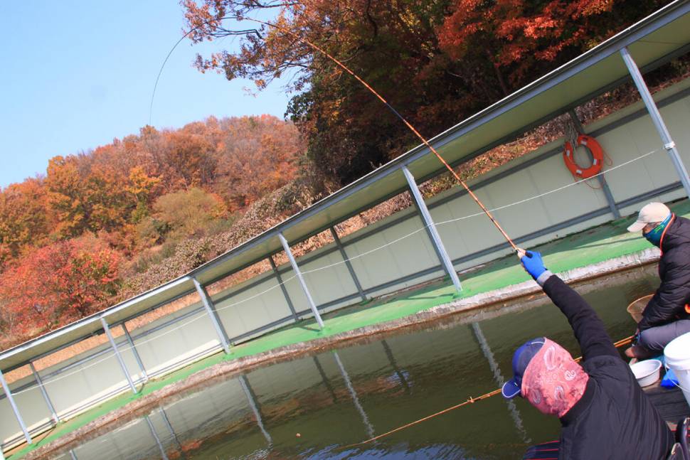 입동날 (유료터정보 - 유료터조행기)