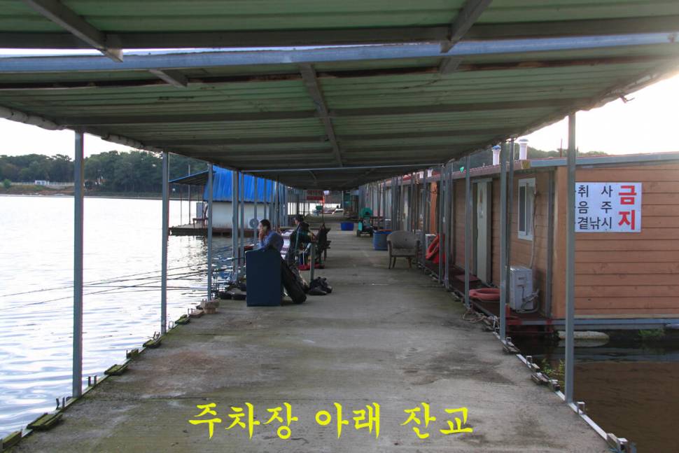 9월의 선물 만정낚시터 (유료터정보 - 유료터조행기)