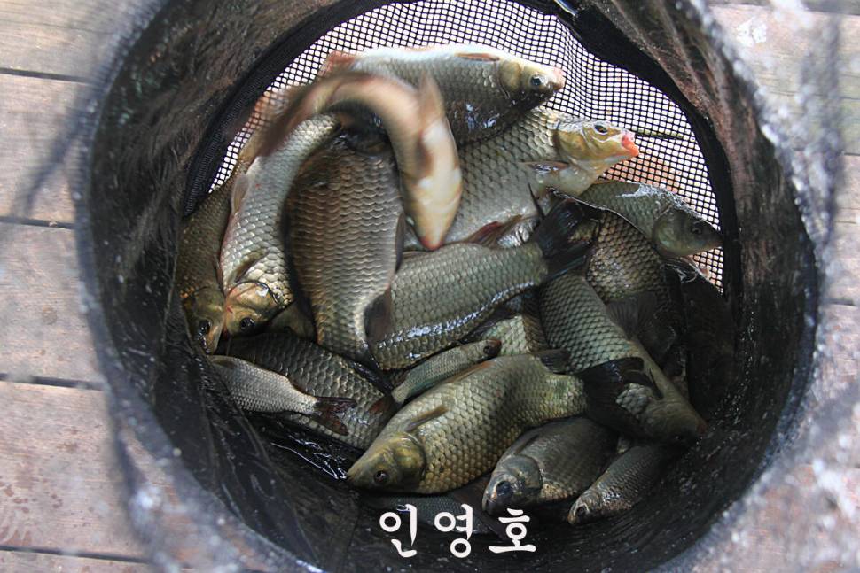 비가와도 대박 (유료터정보 - 유료터조행기)