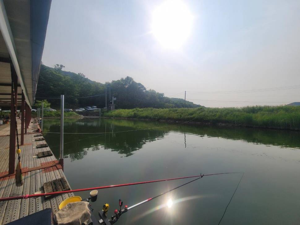 끝내주는 경치 끝내주는 마리수 둘다 만족하는 낚시터가 있다 안성 성주리낚시터 (유료터정보 - 유료터조행기)
