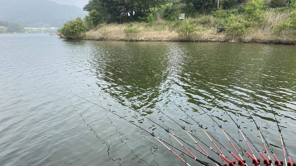 잔잔한손맛 묵직한손맛 그리고 화끈한손맛 안성 용설지 (유료터정보 - 유료터조행기)