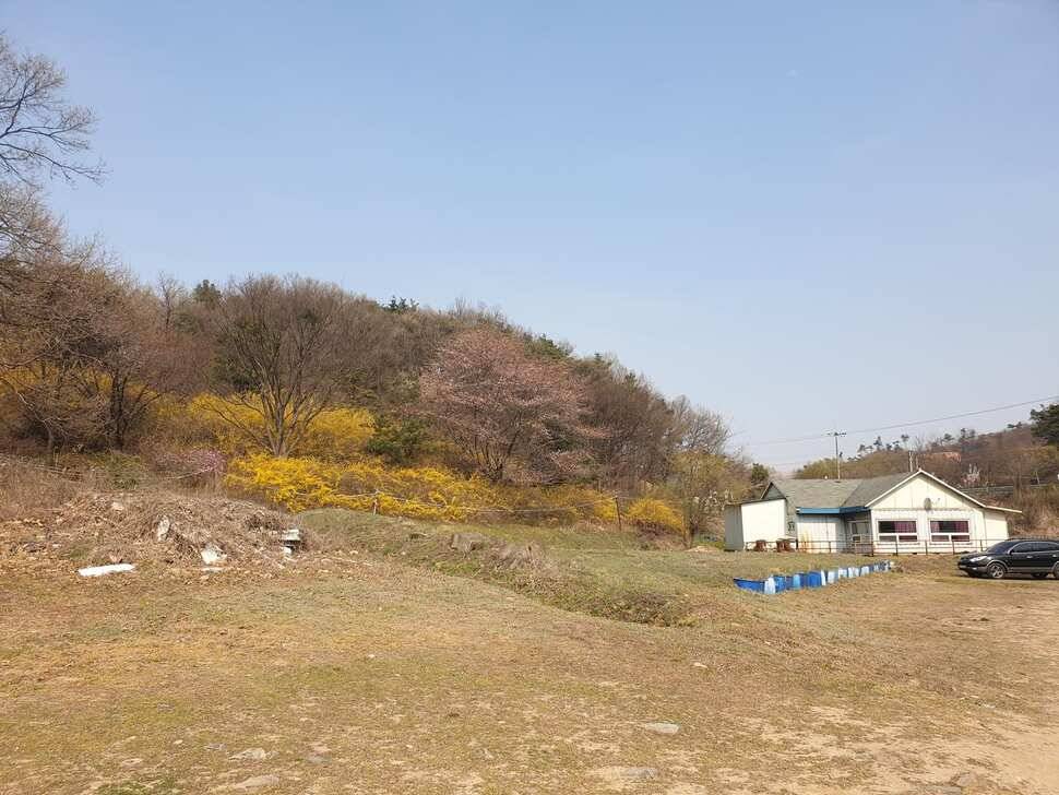 봄숲속 낚시산우물낚시터 (유료터정보 - 유료터조행기)