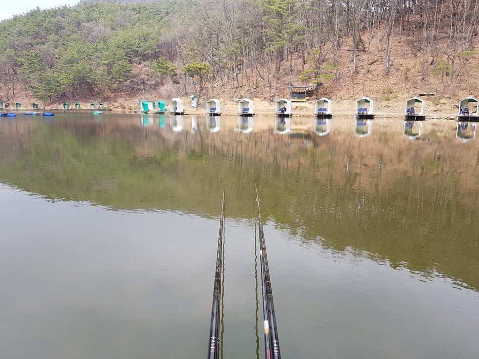 오산나그네의 천평낚시터 조행기 (유료터정보 - 유료터조행기)