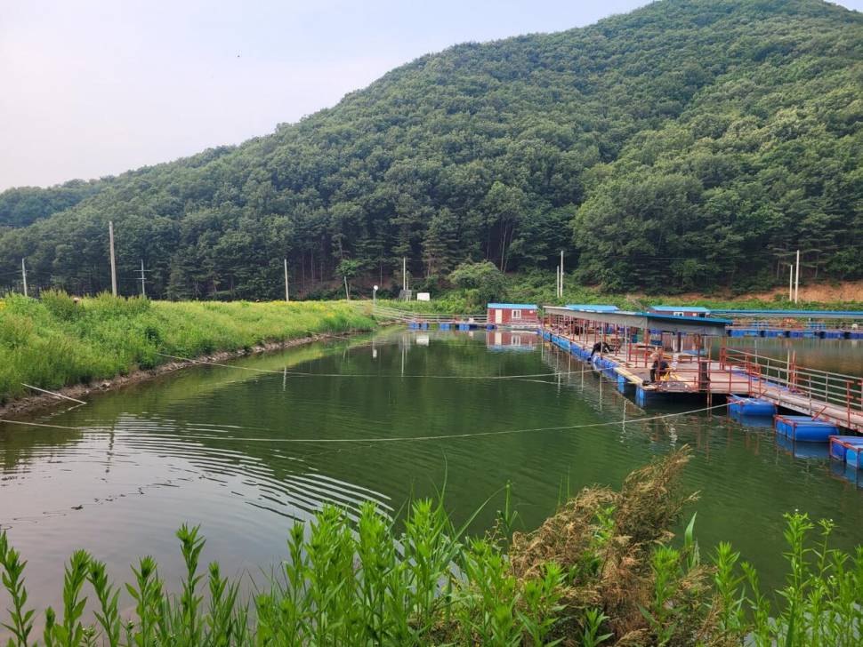 끝내주는 경치 끝내주는 마리수 둘다 만족하는 낚시터가 있다 안성 성주리낚시터 (유료터정보 - 유료터조행기)