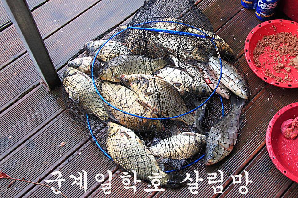 붕어들의 역습 만정낚시터 (유료터정보 - 유료터조행기)
