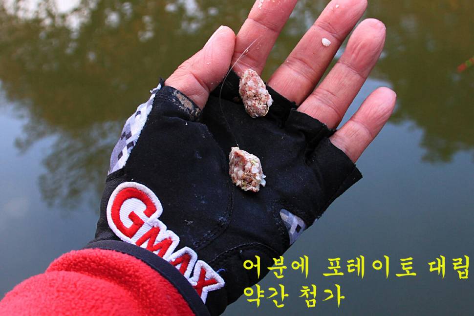 찌가 사라집니다 (유료터정보 - 유료터조행기)