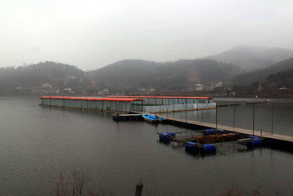 雨曜日 냉정낚시터 (유료터정보 - 유료터조행기)