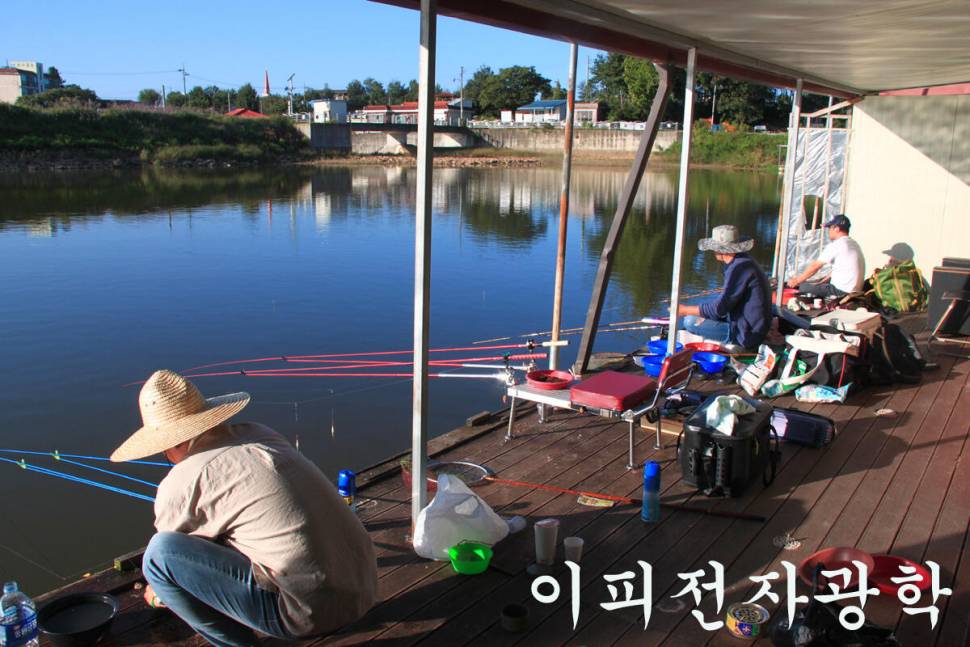 이번 주에도 대박 만정낚시터 (유료터정보 - 유료터조행기)