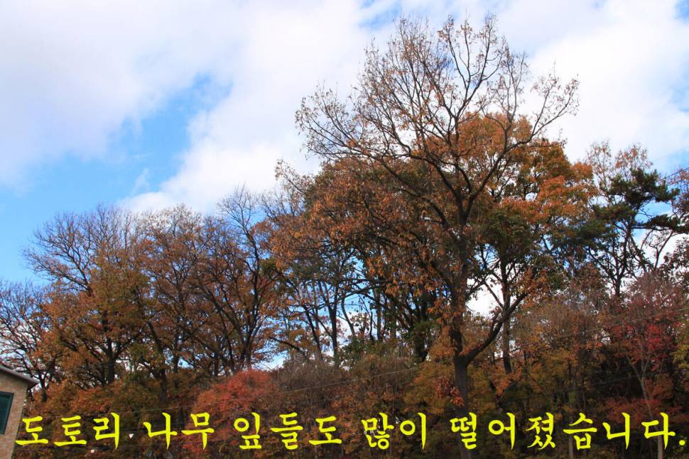 찌가 사라집니다 (유료터정보 - 유료터조행기)