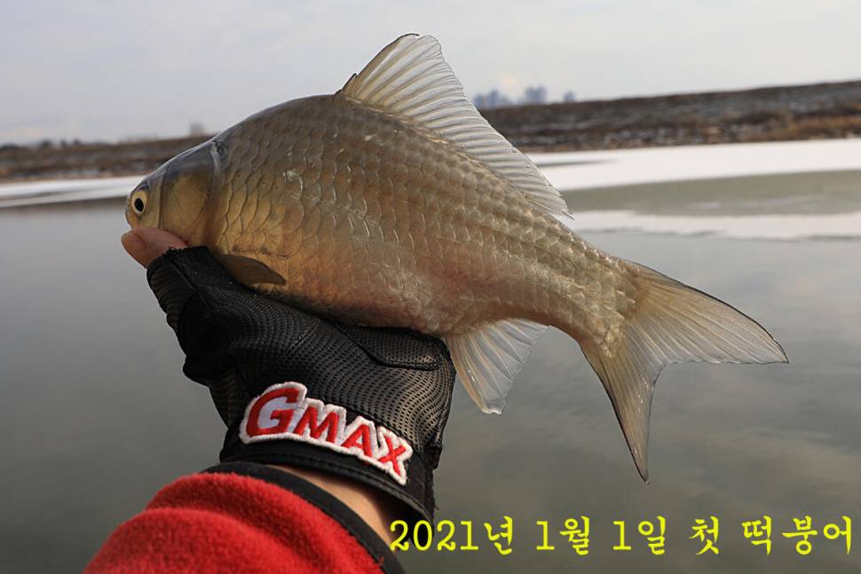 새해 어복 충만하세요 만정낚시터안성 공도 (유료터정보 - 유료터조행기)
