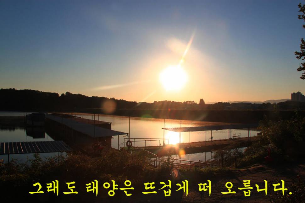 찬스 (유료터정보 - 유료터조행기)
