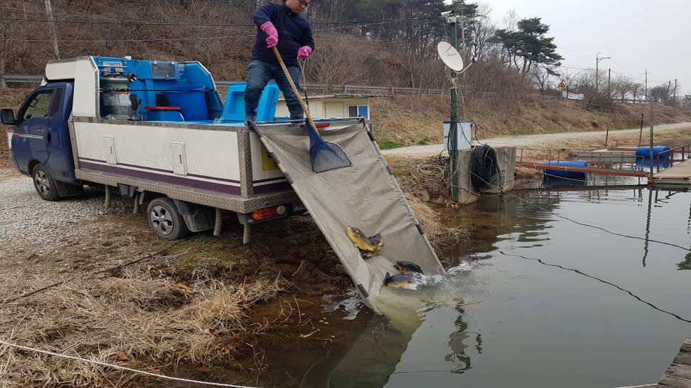 오산나그네의 봉낚시터 조행기 (유료터정보 - 유료터조행기)