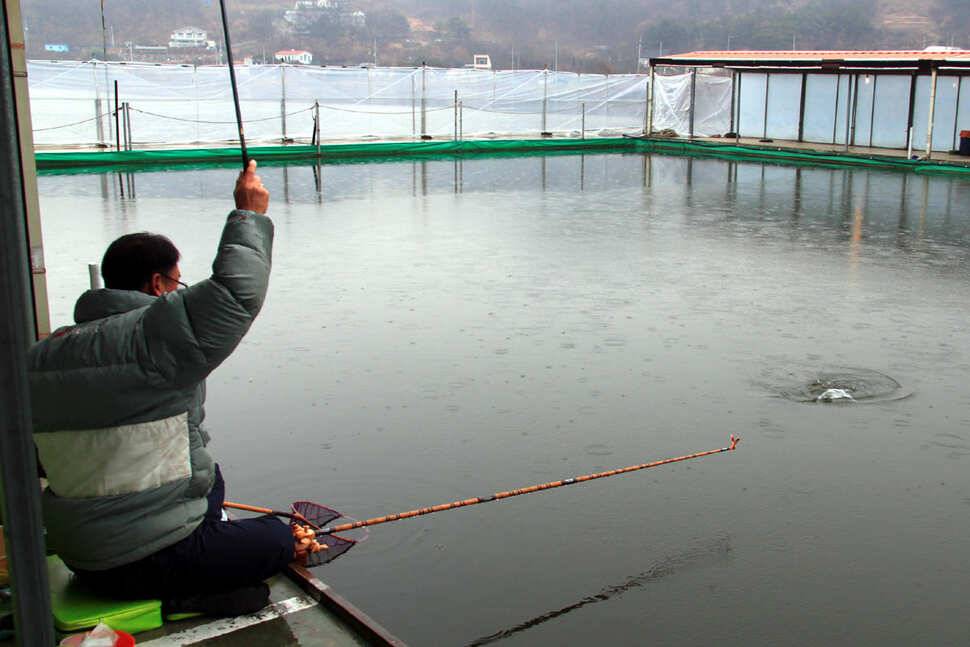 雨曜日 냉정낚시터 (유료터정보 - 유료터조행기)