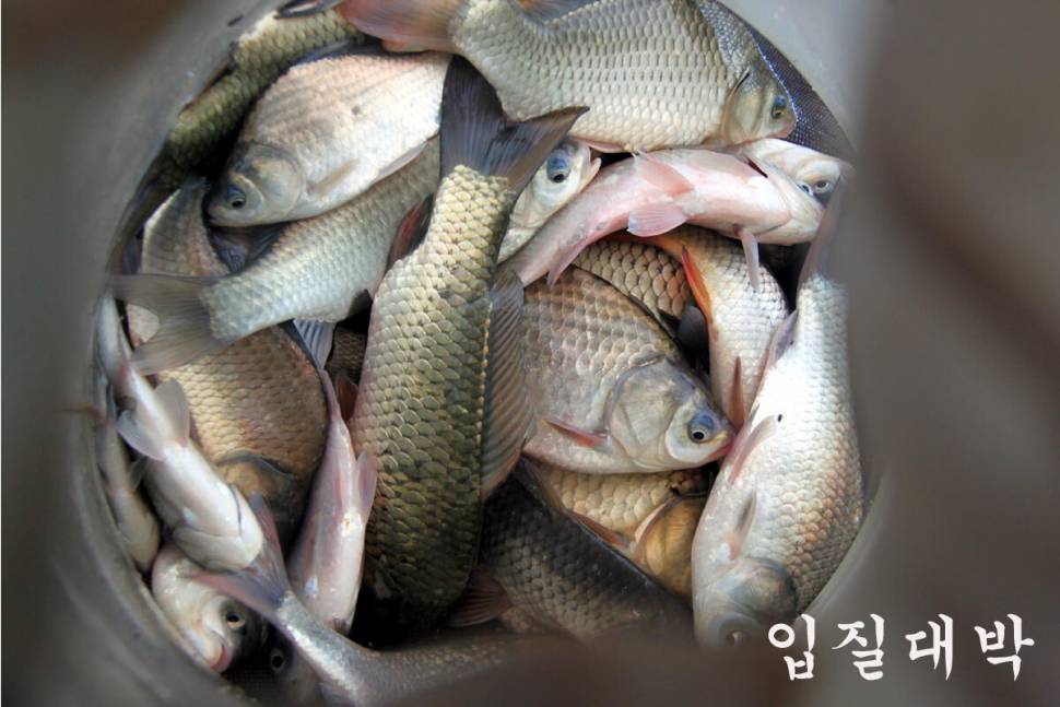 비가와도 대박 (유료터정보 - 유료터조행기)