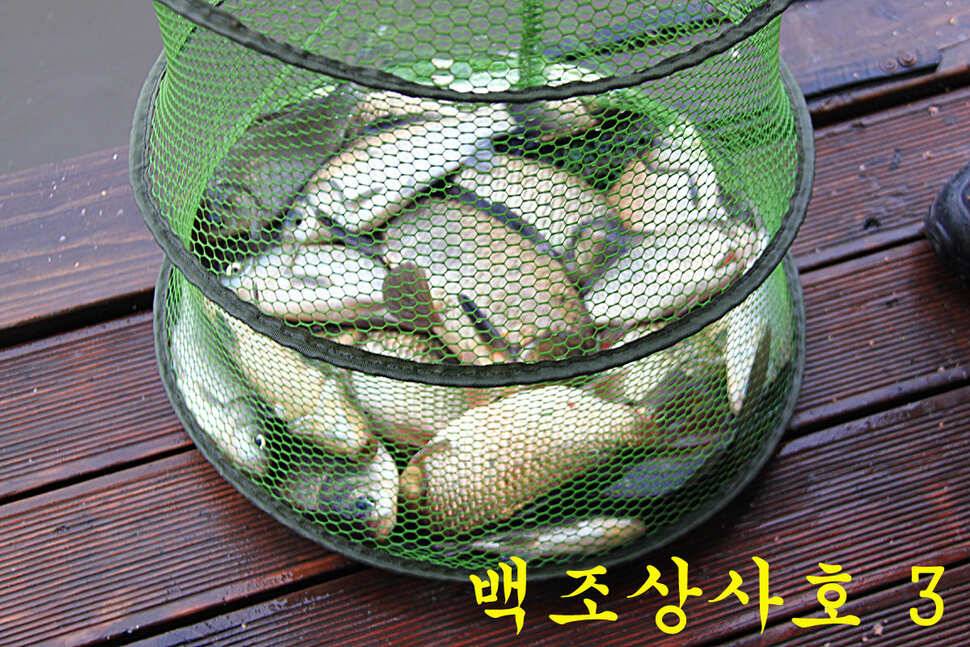 붕어들의 역습 만정낚시터 (유료터정보 - 유료터조행기)