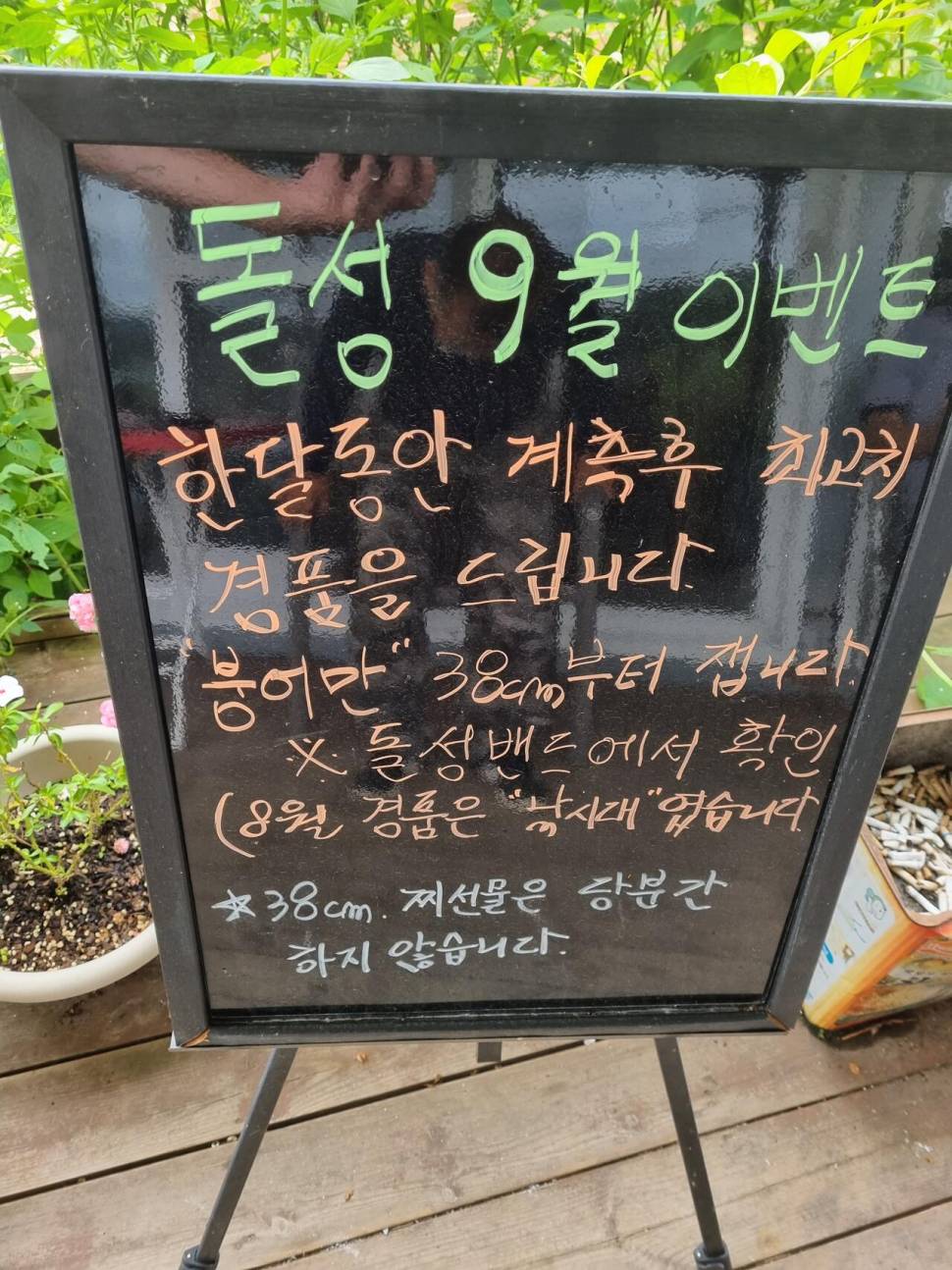 강화 돌성낚시터 조행기 (유료터정보 - 유료터조행기)