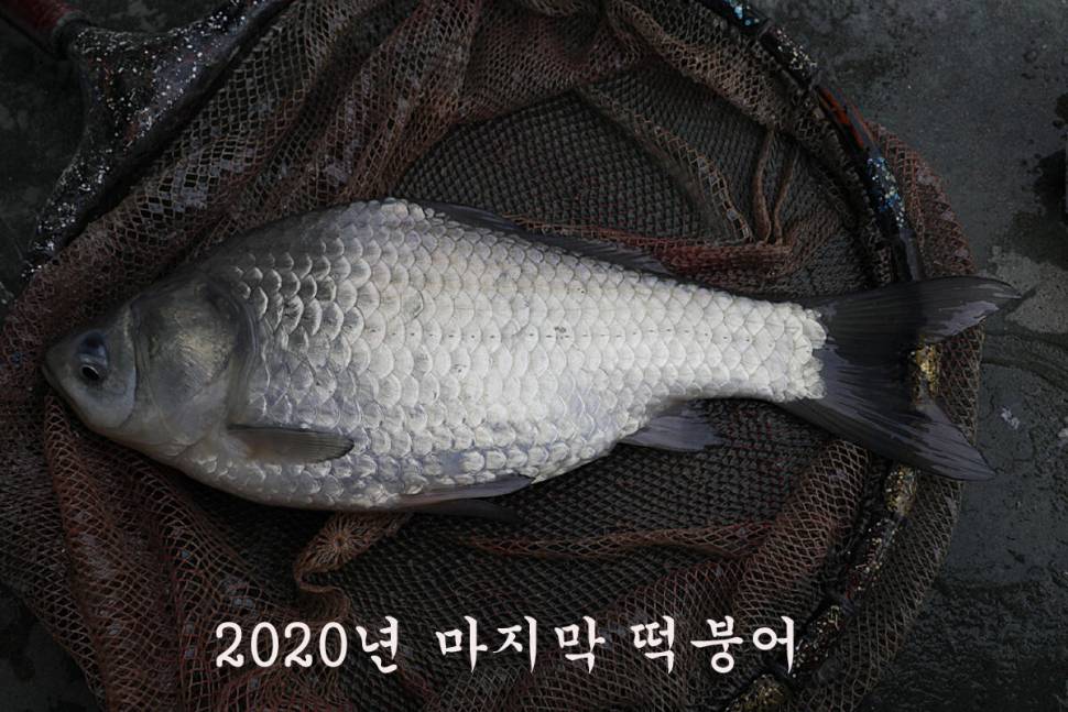 무한도전 냉정낚시터 (유료터정보 - 유료터조행기)