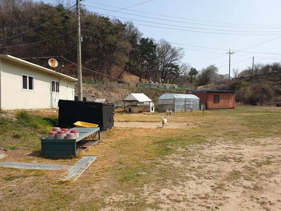 봄숲속 낚시산우물낚시터 (유료터정보 - 유료터조행기)
