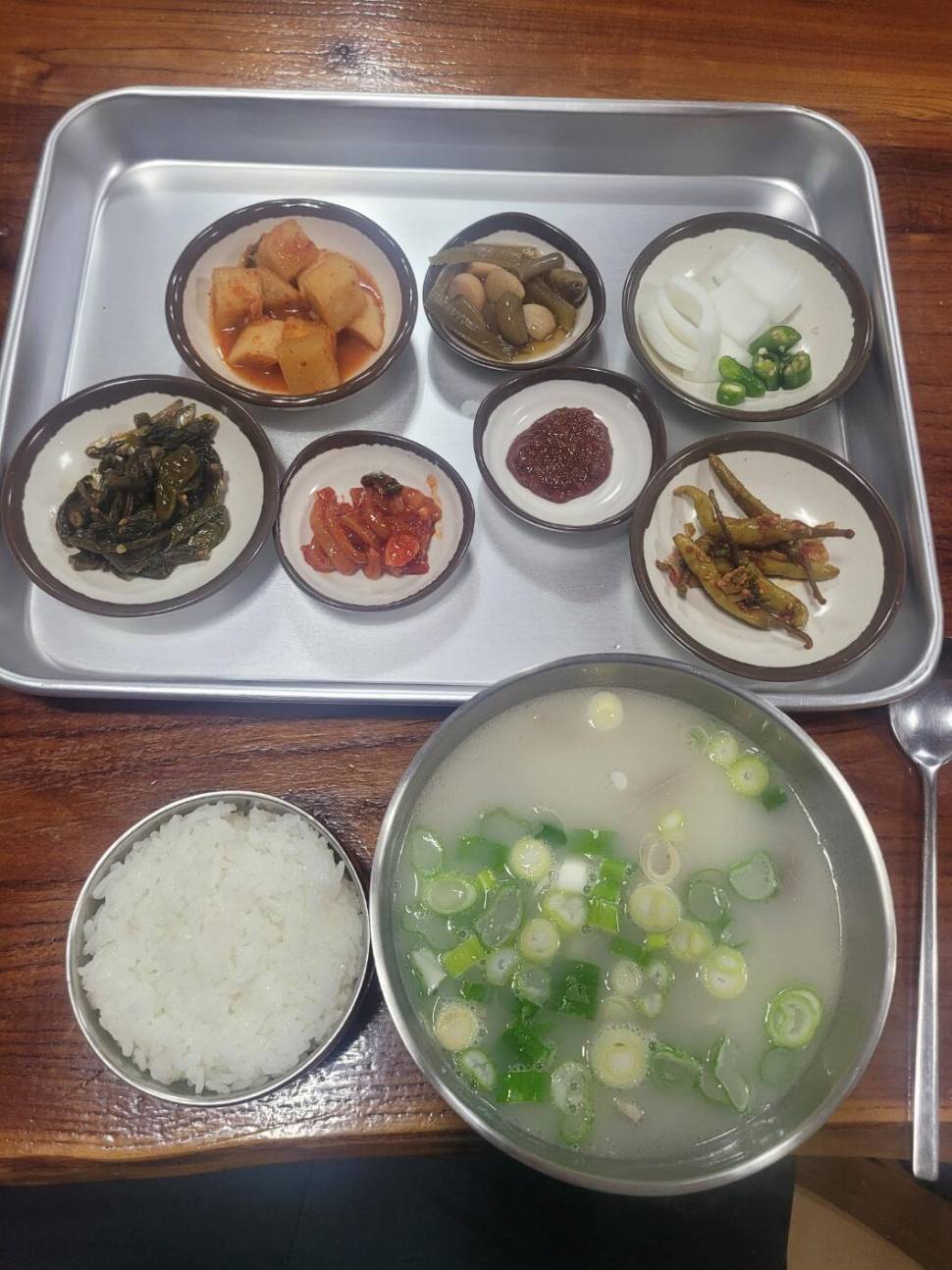 안성 성주리낚시터 1인좌대 6번 조행기 블랙핑크 모노원줄 사용 후기 (유료터정보 - 유료터조행기)