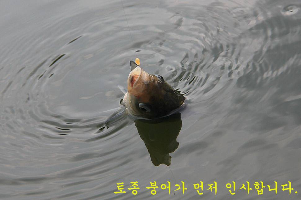우연 (유료터정보 - 유료터조행기)