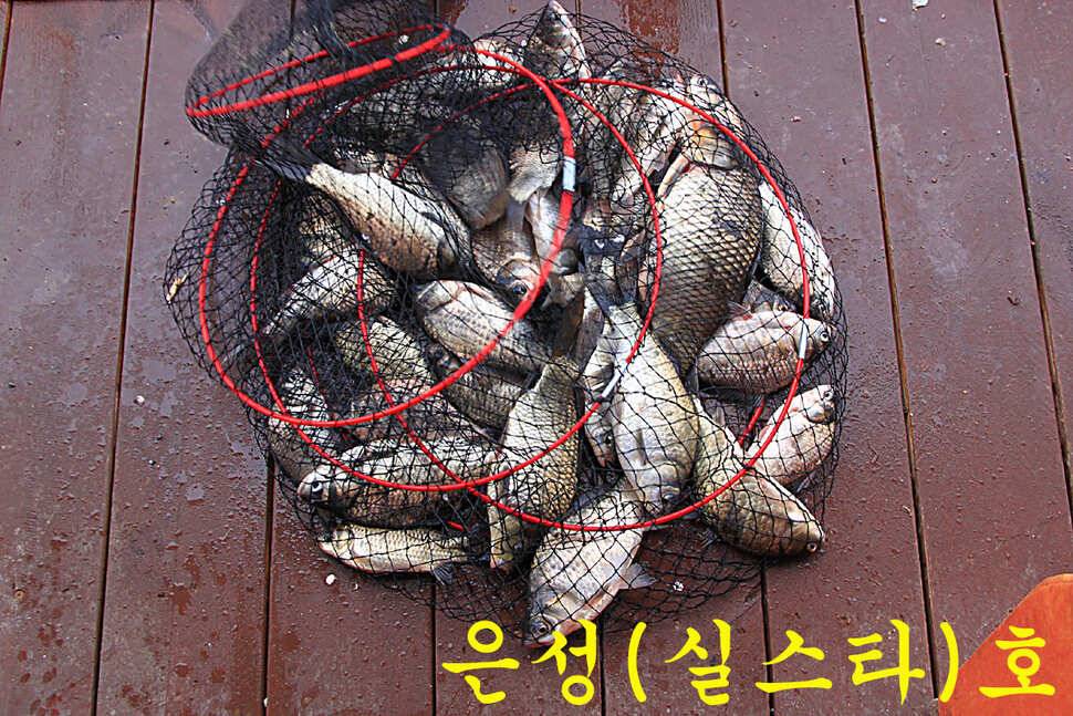 붕어들의 역습 만정낚시터 (유료터정보 - 유료터조행기)
