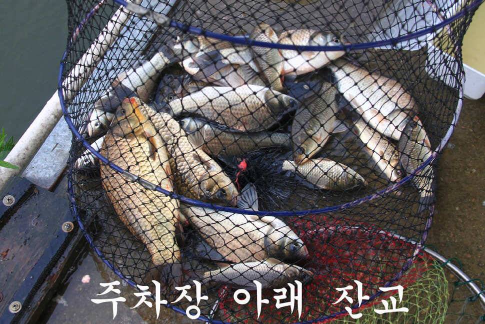 6월 14일 만정지 (유료터정보 - 유료터조행기)