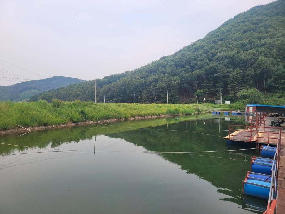 끝내주는 경치 끝내주는 마리수 둘다 만족하는 낚시터가 있다 안성 성주리낚시터 (유료터정보 - 유료터조행기)