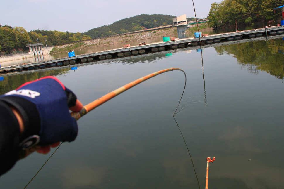 15척이 메인이네요 마둔낚시터 (유료터정보 - 유료터조행기)