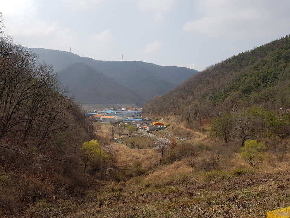 오산나그네의 천평낚시터 조행기 (유료터정보 - 유료터조행기)