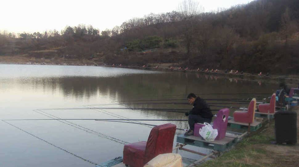 해바라기 찌 사용기 (유료터정보 - 유료터조행기)