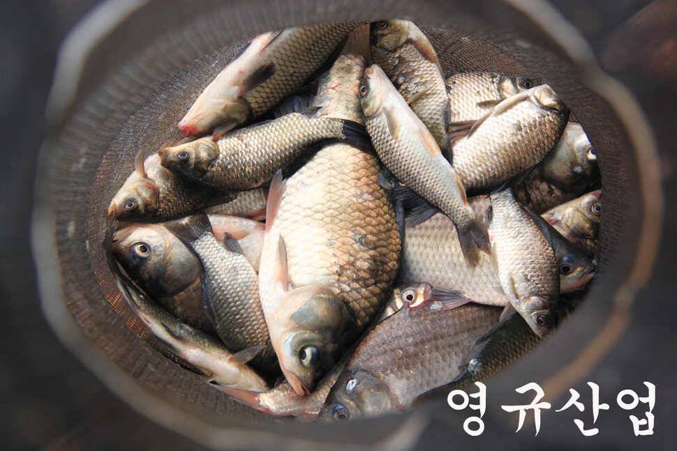 6월 14일 만정지 (유료터정보 - 유료터조행기)