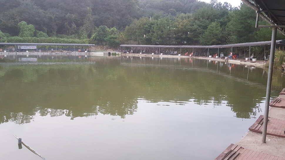 남양주 새말낚시터 출조 (유료터정보 - 유료터조행기)