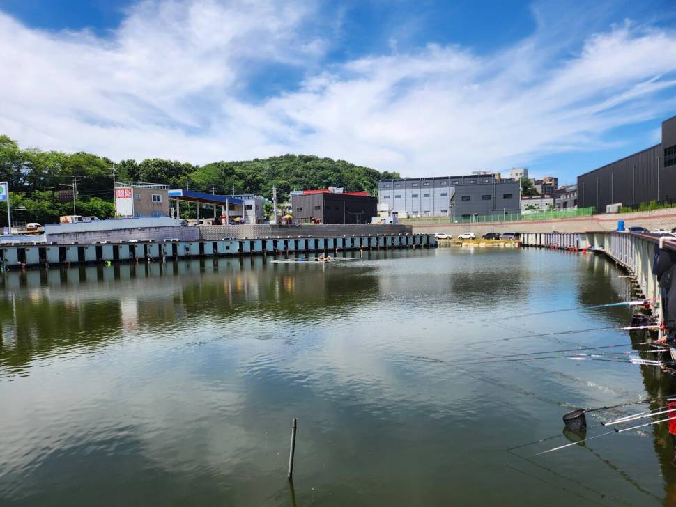 7월 4째주 철이15의 주말 낚시영행 (유료터정보 - 유료터조행기)