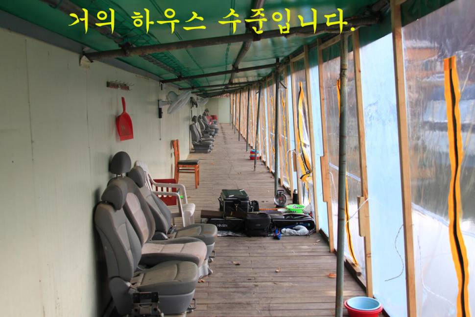 새 붕어 입질 굿 (유료터정보 - 유료터조행기)
