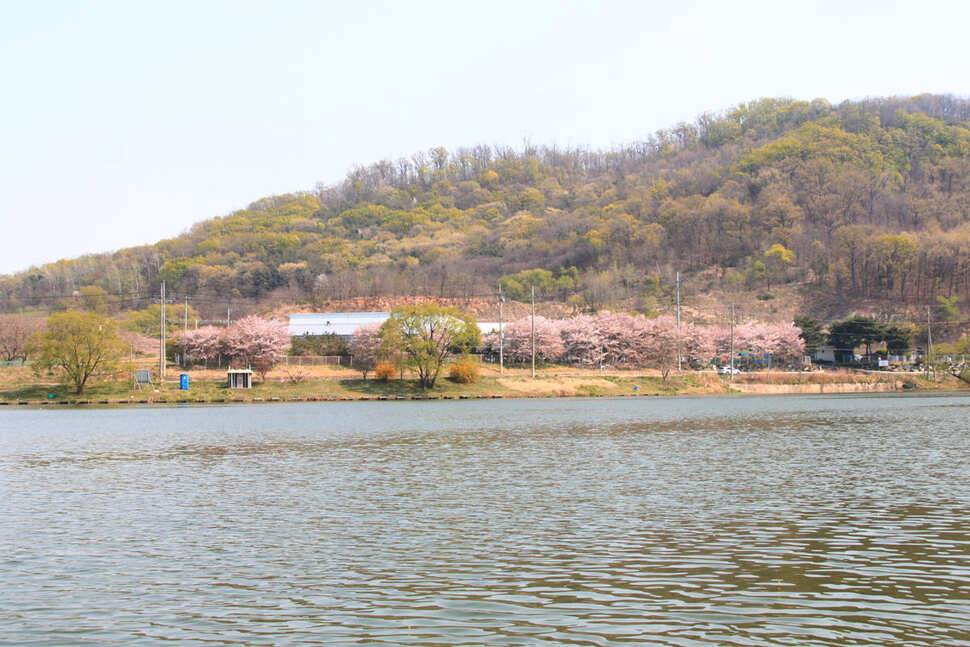 송탄낚시회 4월 정출 신봉낚시터 (유료터정보 - 유료터조행기)