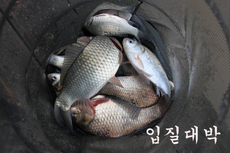조황 베리 굿 (유료터정보 - 유료터조행기)