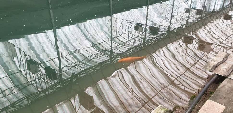 지난주 못본 손맛 복수전 (유료터정보 - 유료터조행기)