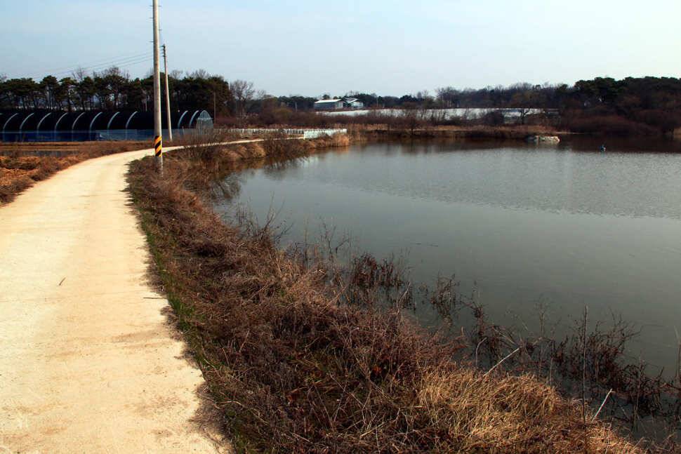 野生馬 만정낚시터 (유료터정보 - 유료터조행기)