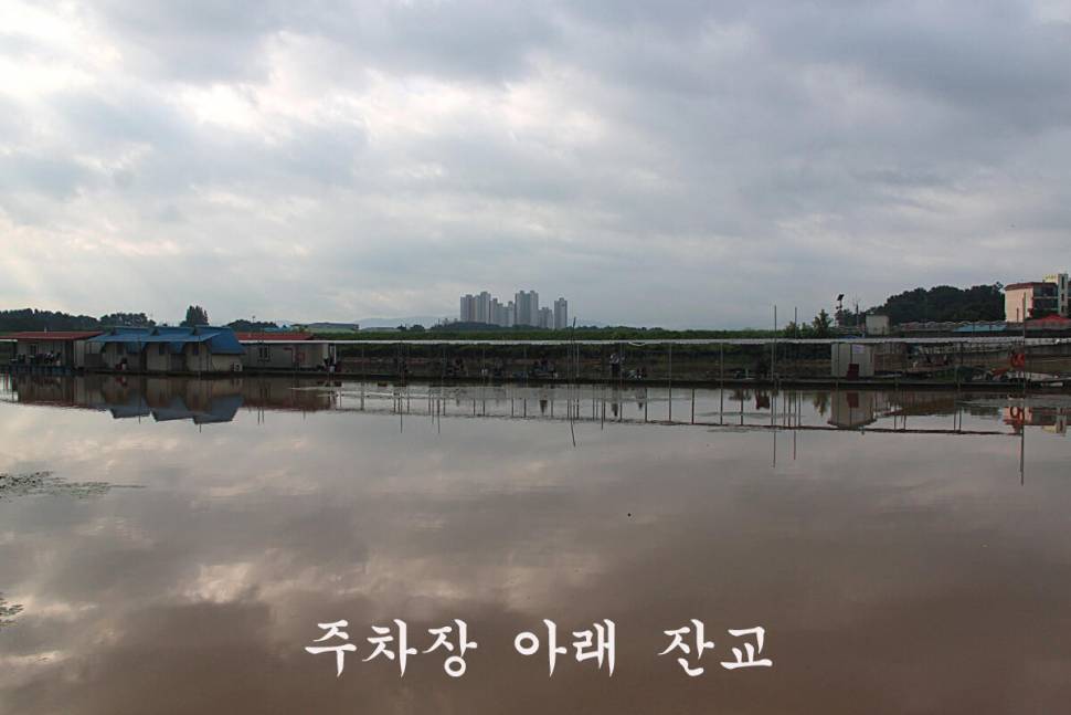 대박이네요 만정낚시터 (유료터정보 - 유료터조행기)